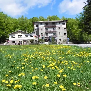 Le Macinaie - Monte Amiata Castel del Piano (Tuscany)